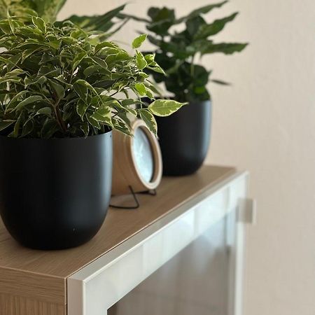 Appartement Elena Linz Eksteriør bilde